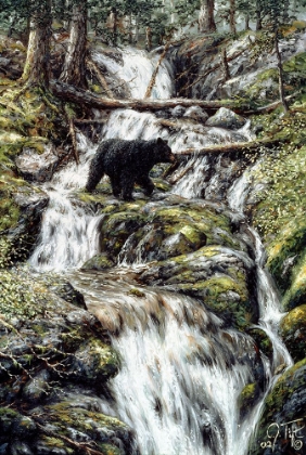 Picture of BEAR CREEK CROSSING