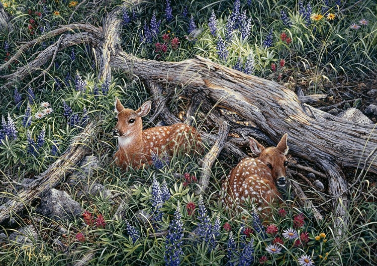 Picture of FAWNS AND FLOWERS