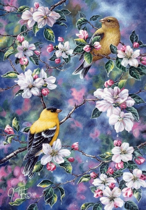 Picture of GOLD FINCH AND BLOSSOMS