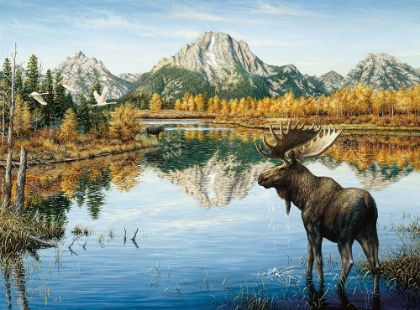 Picture of BULL MOOSE