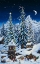 Picture of CHRISTMAS WITH THE ELVES