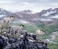 Picture of DALL SHEEP AT DENALI