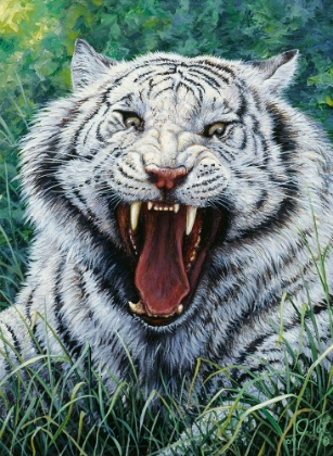 Picture of WHITE TIGER 2