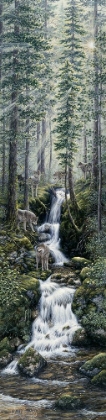 Picture of CASCADE WOLVES