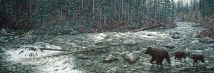 Picture of COOL CREEK