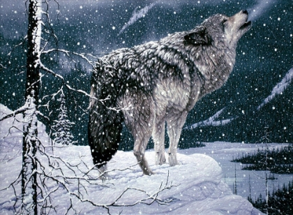 Picture of LONE WOLF