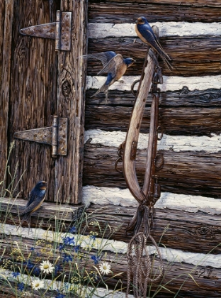 Picture of BARN SWALLOWS