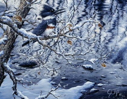 Picture of ICY REFLECTIONS