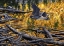 Picture of HERON