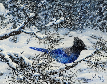 Picture of WINTER JAY