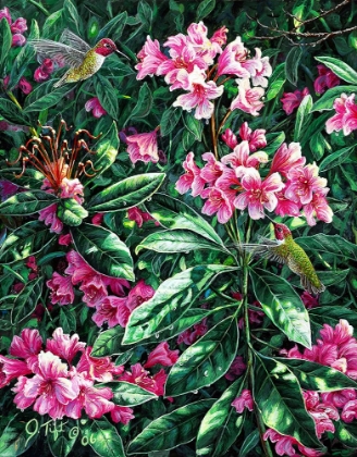Picture of ANNAS AND RHODIES