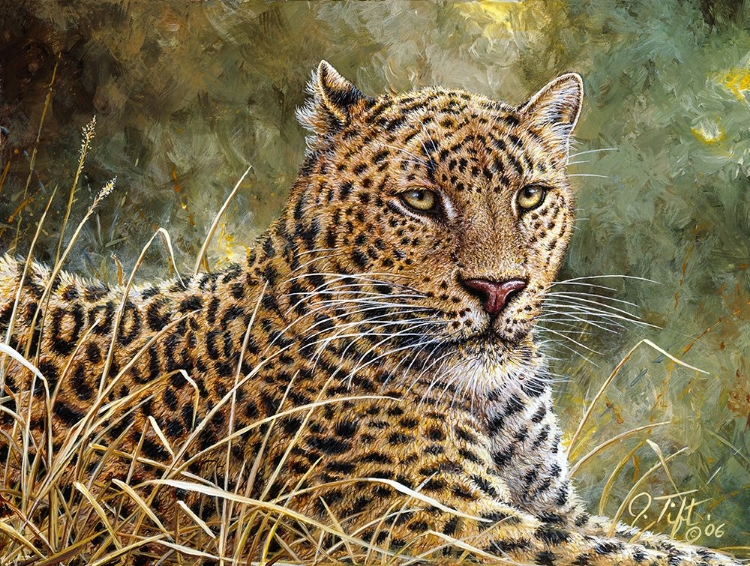 Picture of LEOPARD PORTRAIT