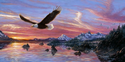 Picture of SILENT WINGS OF FREEDOM