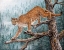 Picture of HIGH CLIMBER