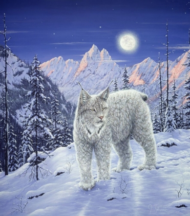 Picture of MOONLIGHT WILDERNESS