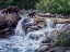 Picture of ENTIAT FALLS-GRIZZLY FAMILY