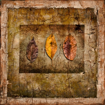 Picture of AUTUMN LEAVES I