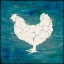 Picture of FARM CHICKEN