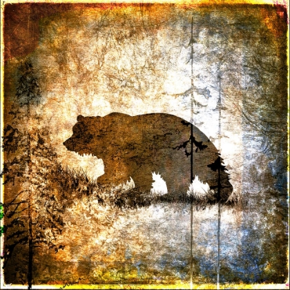 Picture of HIGH COUNTRY BEAR