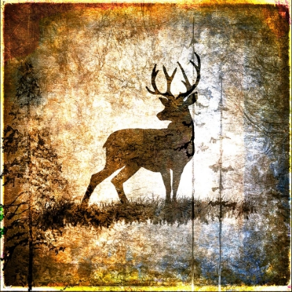 Picture of HIGH COUNTRY DEER