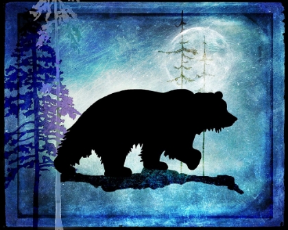 Picture of MIDNIGHT BEAR