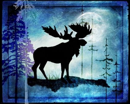Picture of MIDNIGHT MOOSE