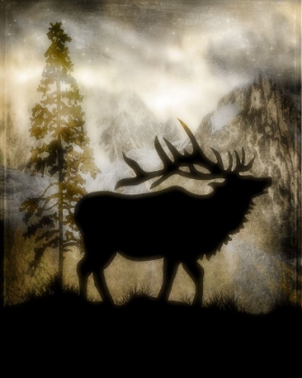 Picture of MYSTIC ELK