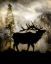 Picture of MYSTIC ELK