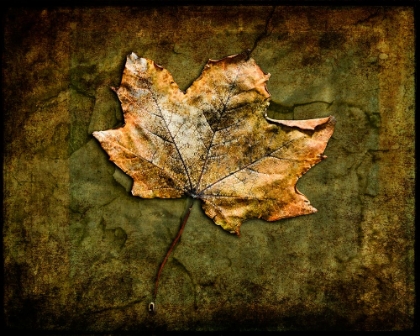 Picture of METALLIC LEAF 1