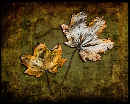 Picture of METALLIC LEAF 2