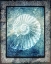 Picture of HELLO BEACH SHELL I