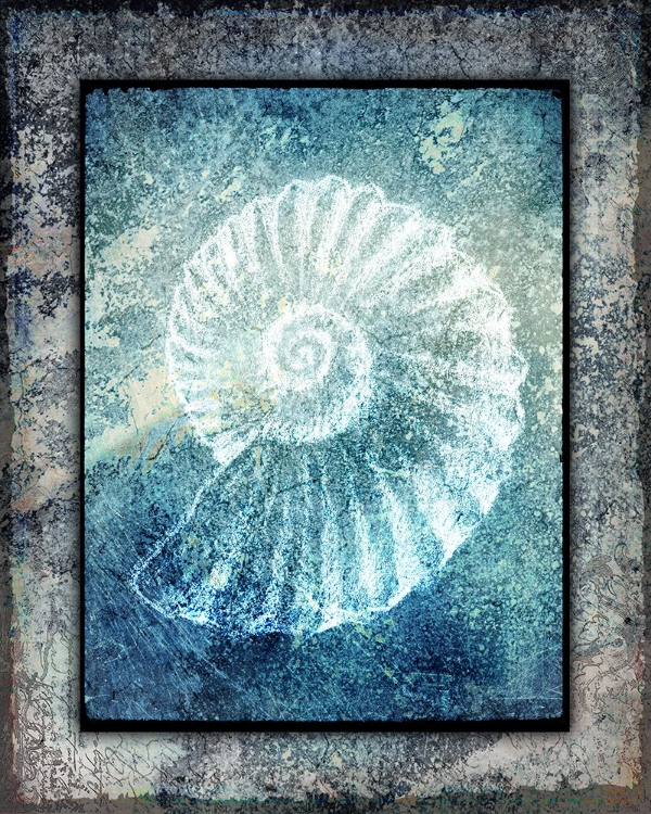 Picture of HELLO BEACH SHELL I