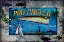 Picture of FISHING - BASS LURE POPPY SIGN