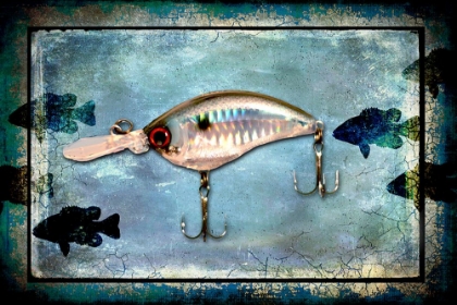 Picture of FISHING - BIG MOUTH LURE