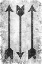 Picture of ARROW 2