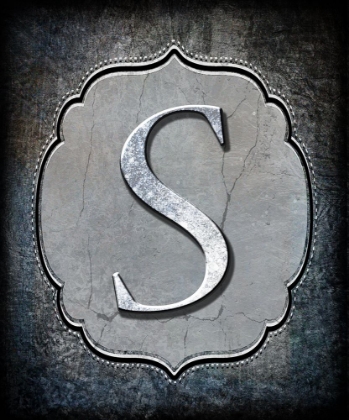 Picture of LETTER S