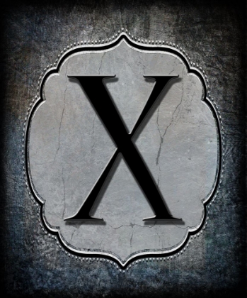 Picture of LETTER X