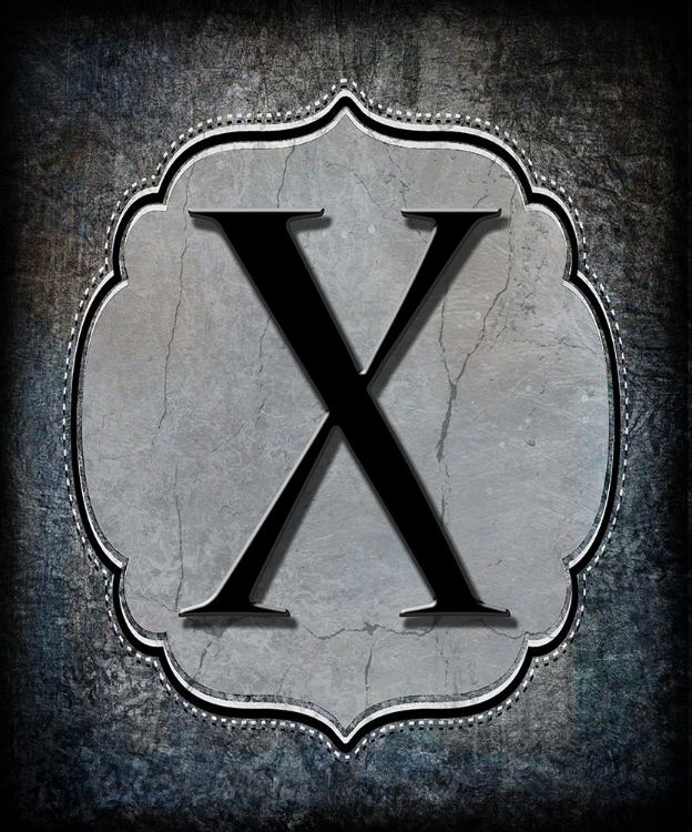 Picture of LETTER X