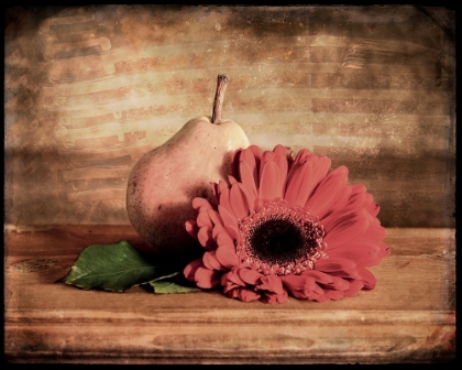 Picture of KITCHEN PEAR 1