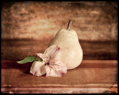 Picture of KITCHEN PEAR 2