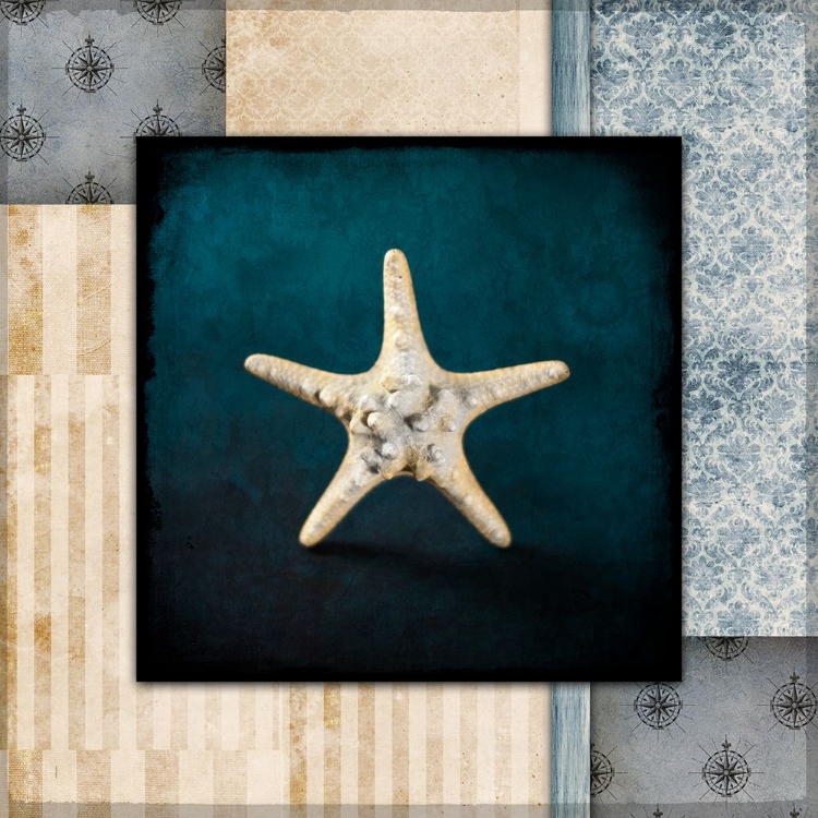 Picture of BLUE SEA BUMPY STAR