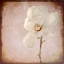 Picture of PAPER MAGNOLIA