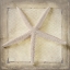 Picture of STARFISH