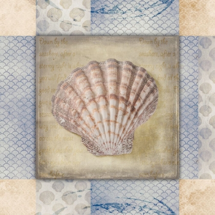 Picture of WHITE SEA SHELL