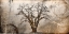 Picture of COTTONWOOD TREE PART 07