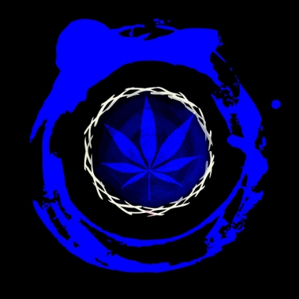 Picture of POT 3