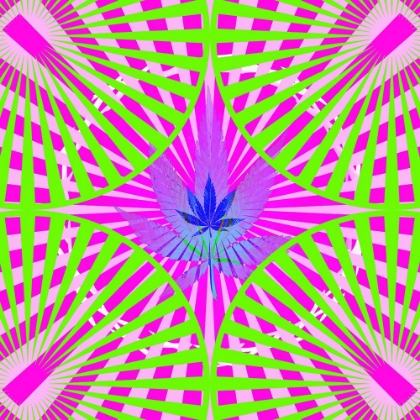 Picture of POT 6 BLACK LIGHT 5