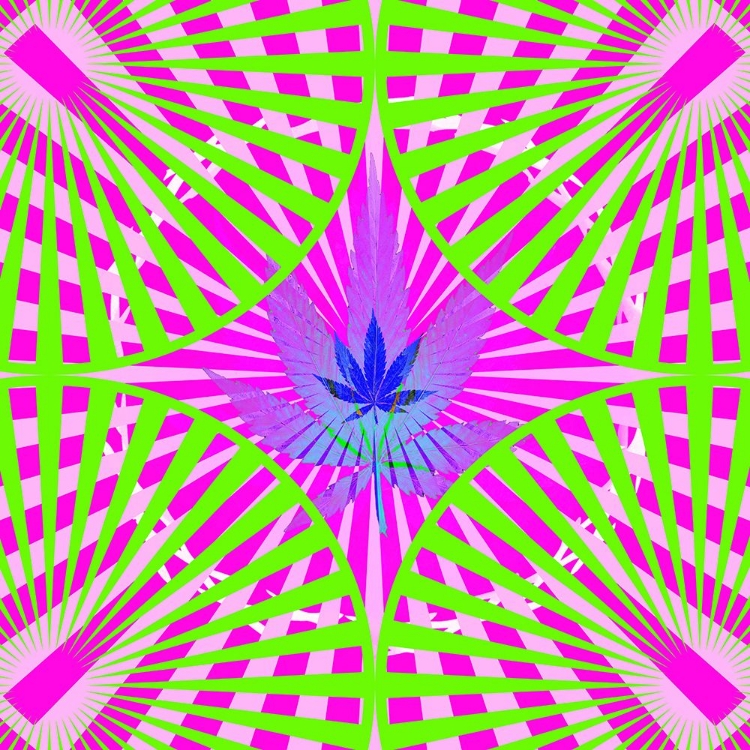 Picture of POT 6 BLACK LIGHT 5