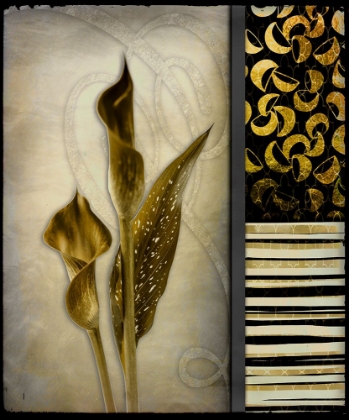 Picture of GOLD LILY 1
