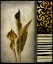 Picture of GOLD LILY 1